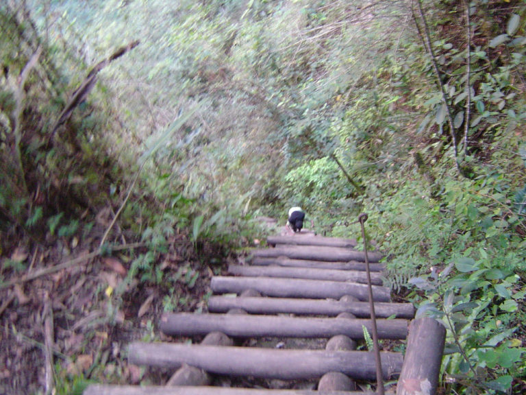 escada do caminho ao cume