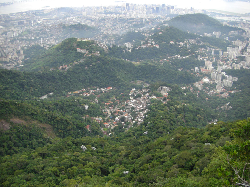 Tijuca Forest