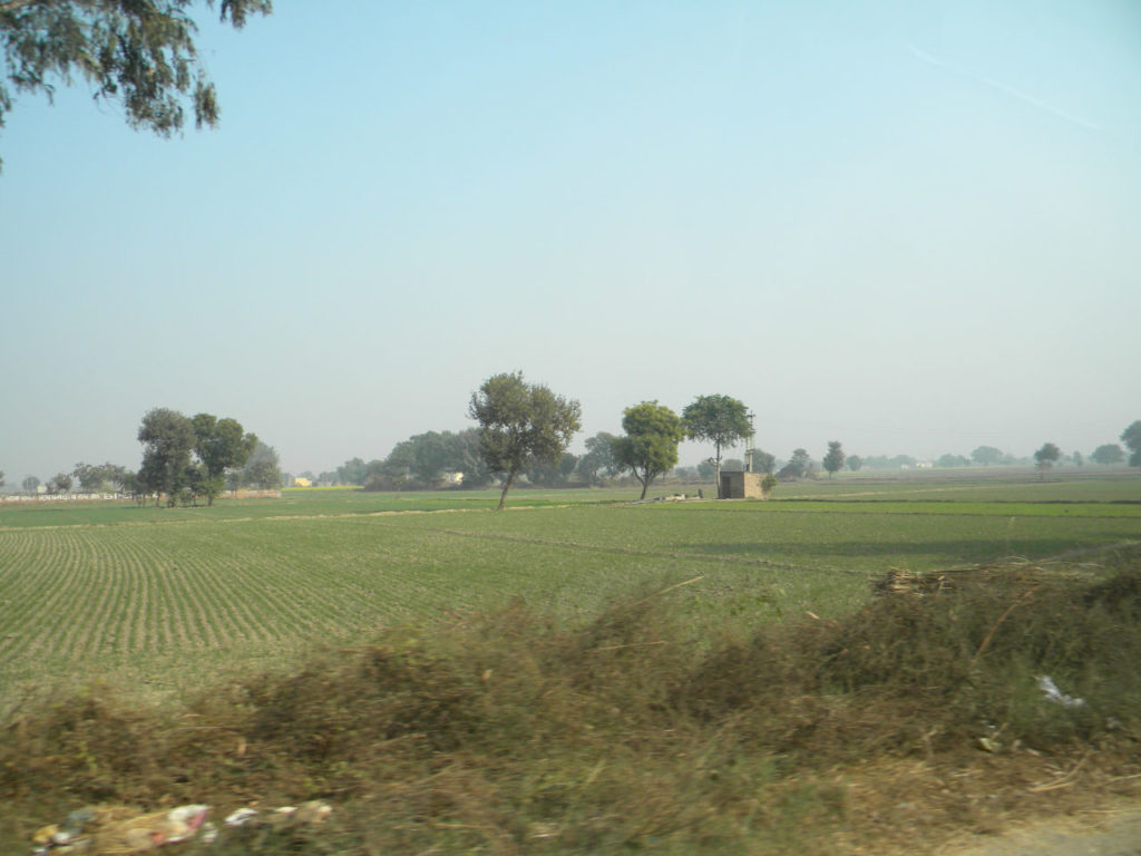 Campo no caminho de Agra