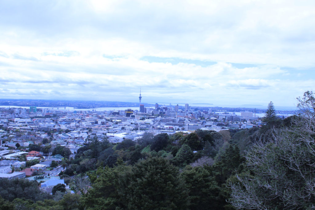 Auckland overview