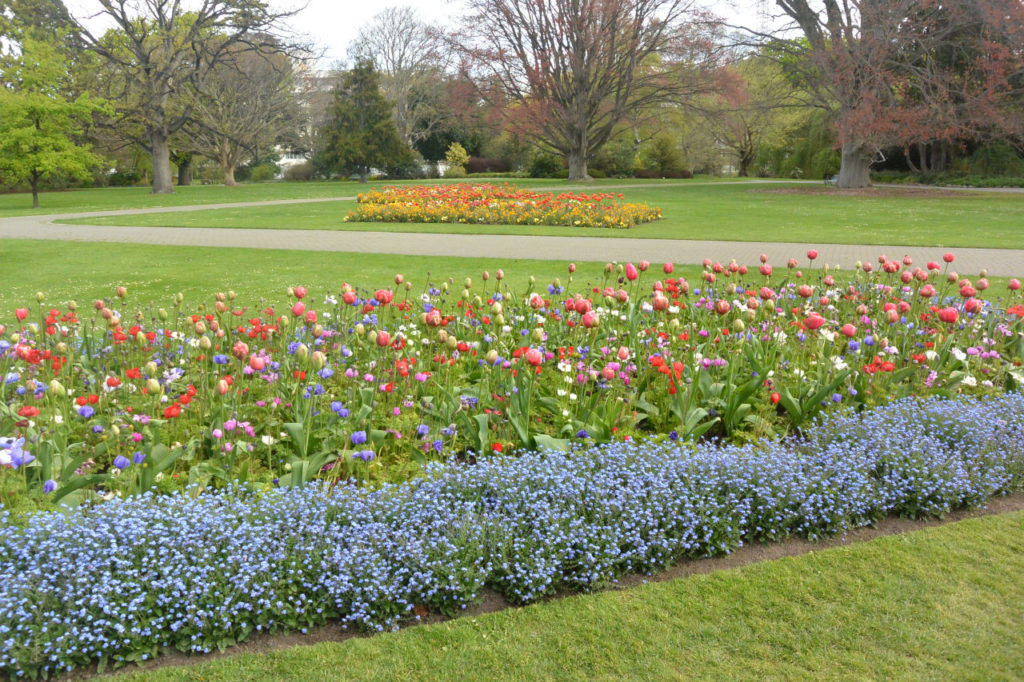 Botanic garden