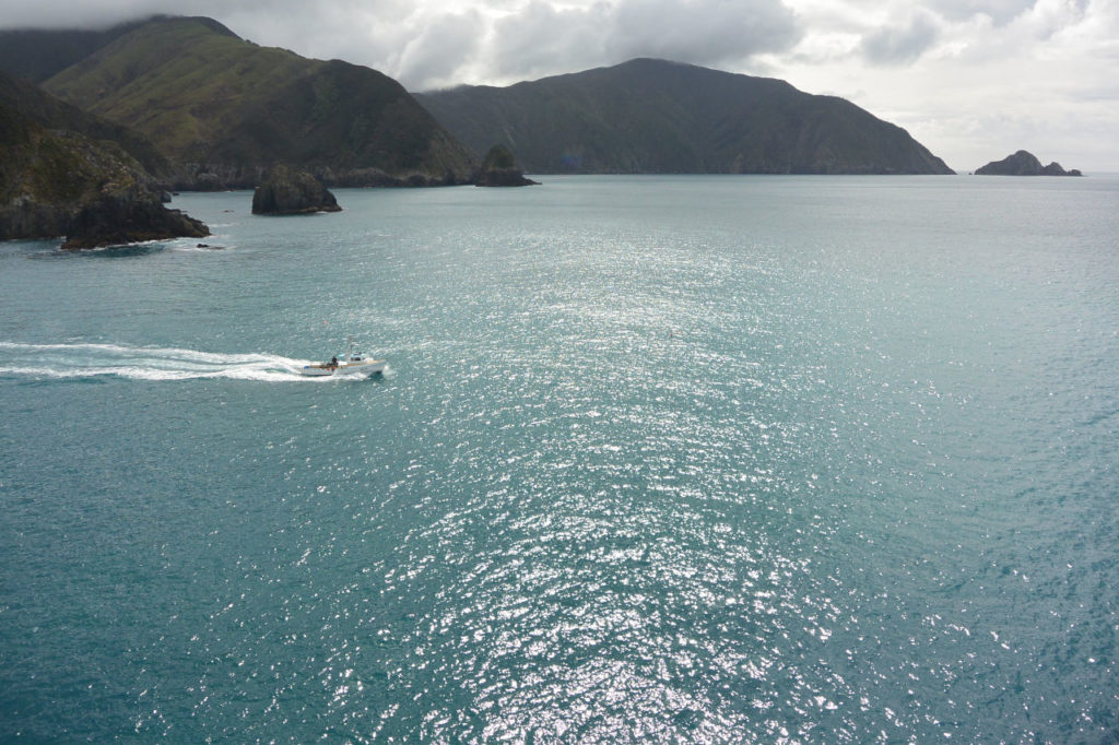 Marlborough sounds