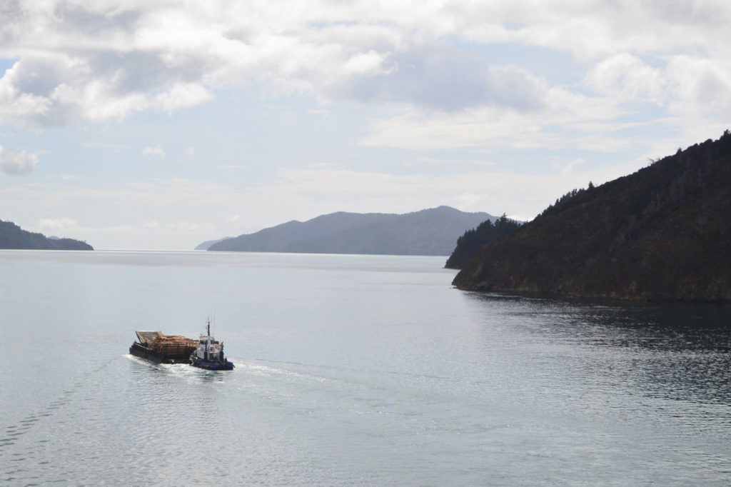 Marlborough sounds