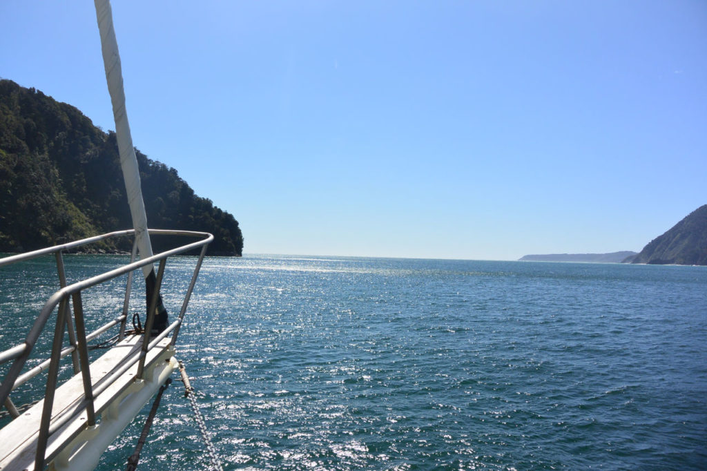 Milford sound ship tour open sea