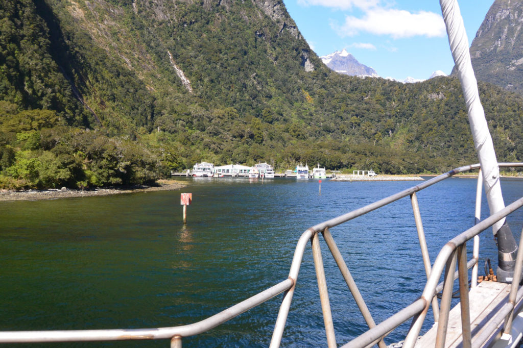 Milford sound ship tour return