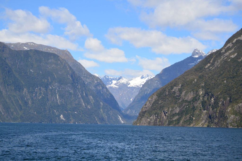 Milford sound ship tour way back