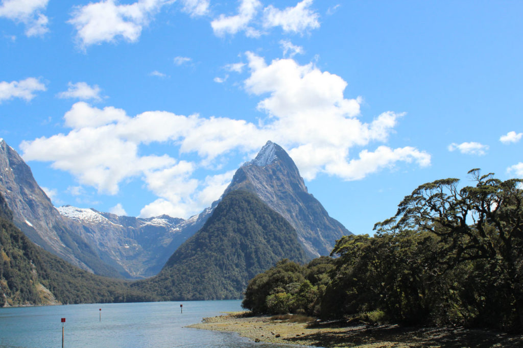 Milford sound ship tour