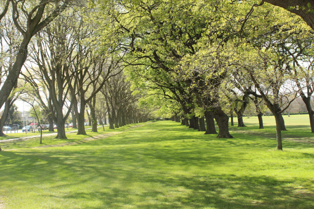 South Hagley park