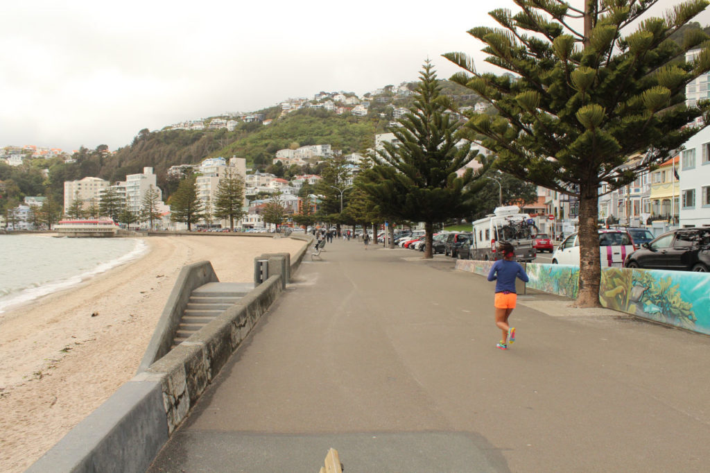 Wellington city beach