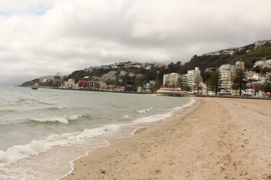 Wellington city beach