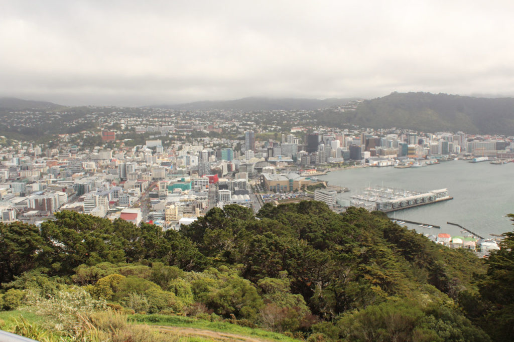 Wellington overview