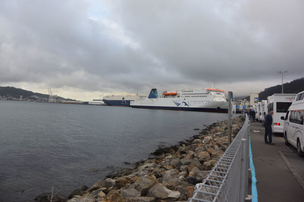 wellington harbour