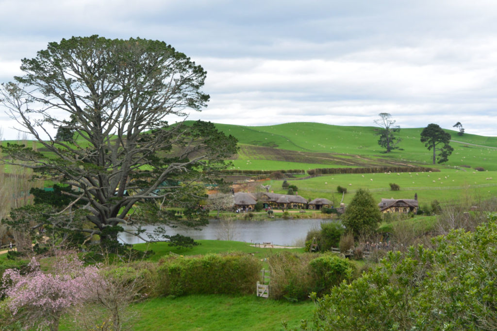 Bilbo´s tree party