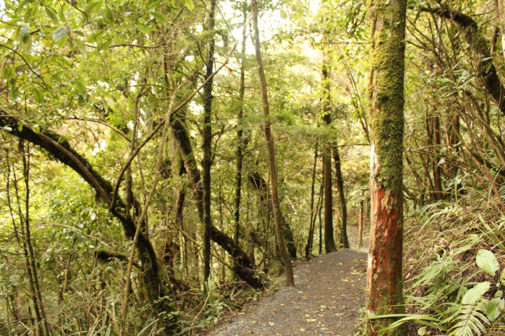 Last 1 km of the trail