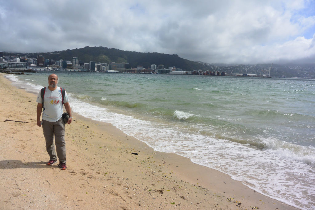 oriental bay beach