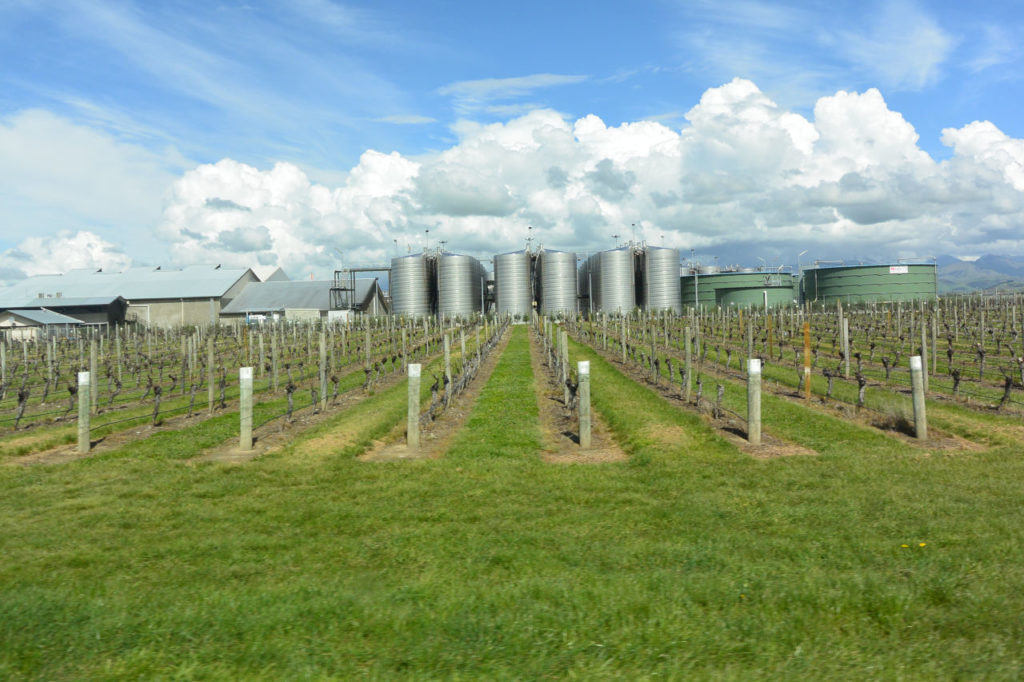 Vineyards