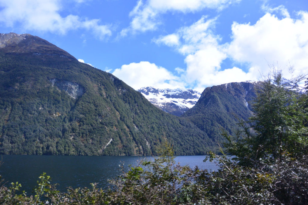 Mirror lake