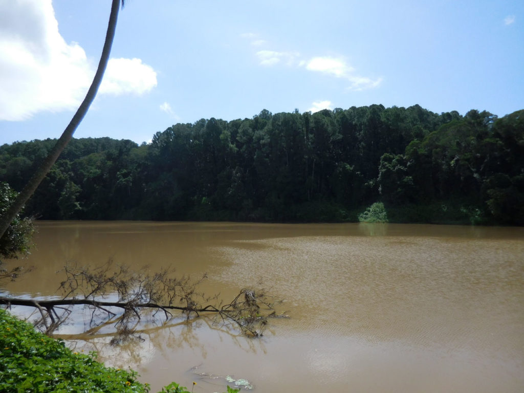 Kuranda Barron River