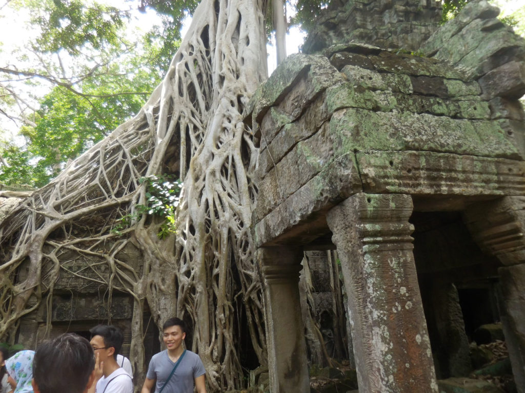 Cambodia - Seam Reap - Ta Prohm temple