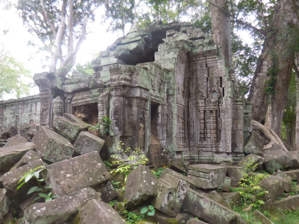 Camboja- Seam Reap - Ta Prohm temple