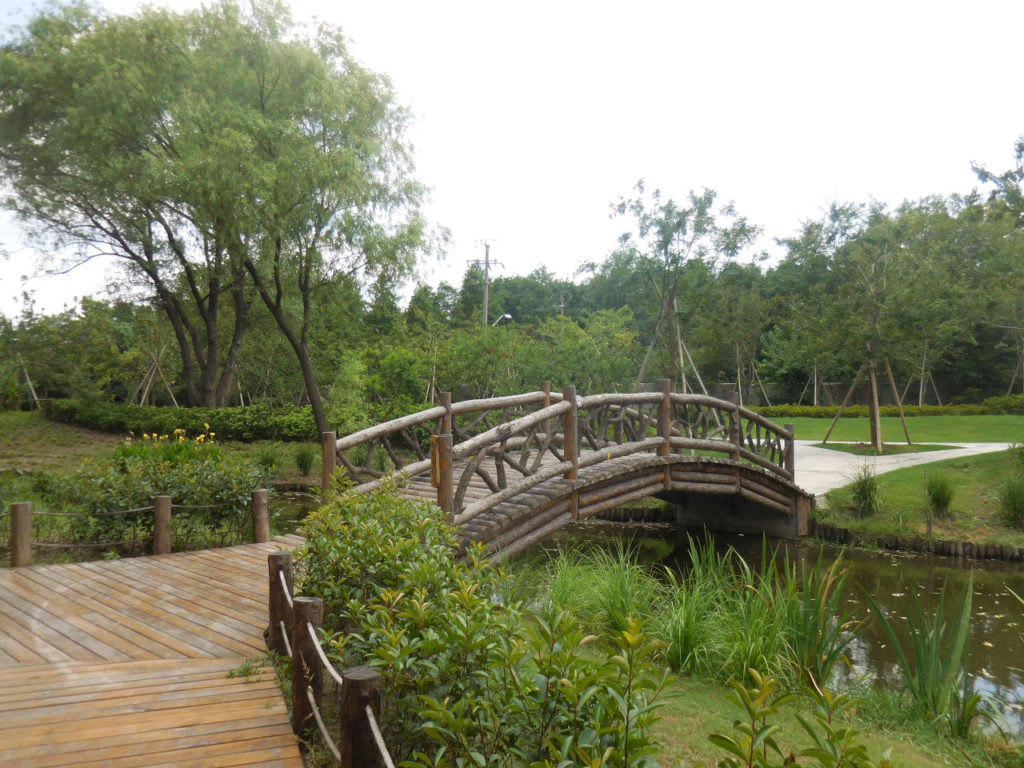 Shanghai - Gongging Forest Park - bridge