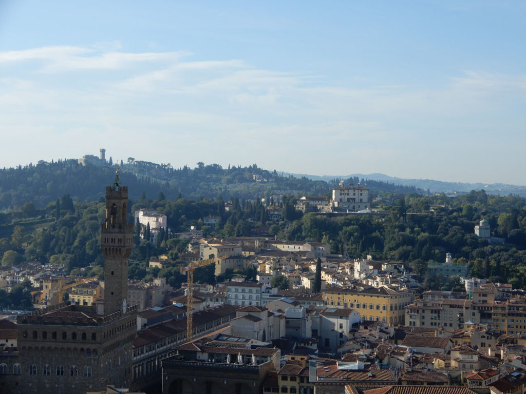 Italy - Florence - view from the Duomo