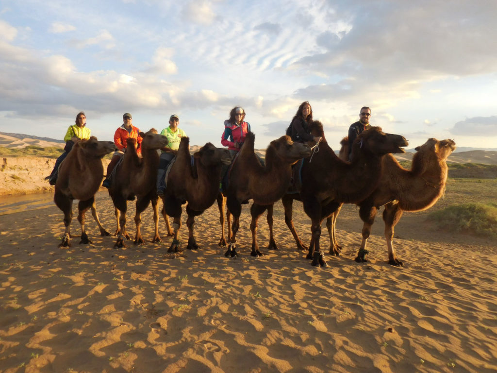 Gobi Desert - camel ride