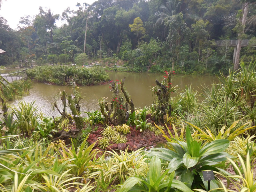 Singapore Botanic Gardens