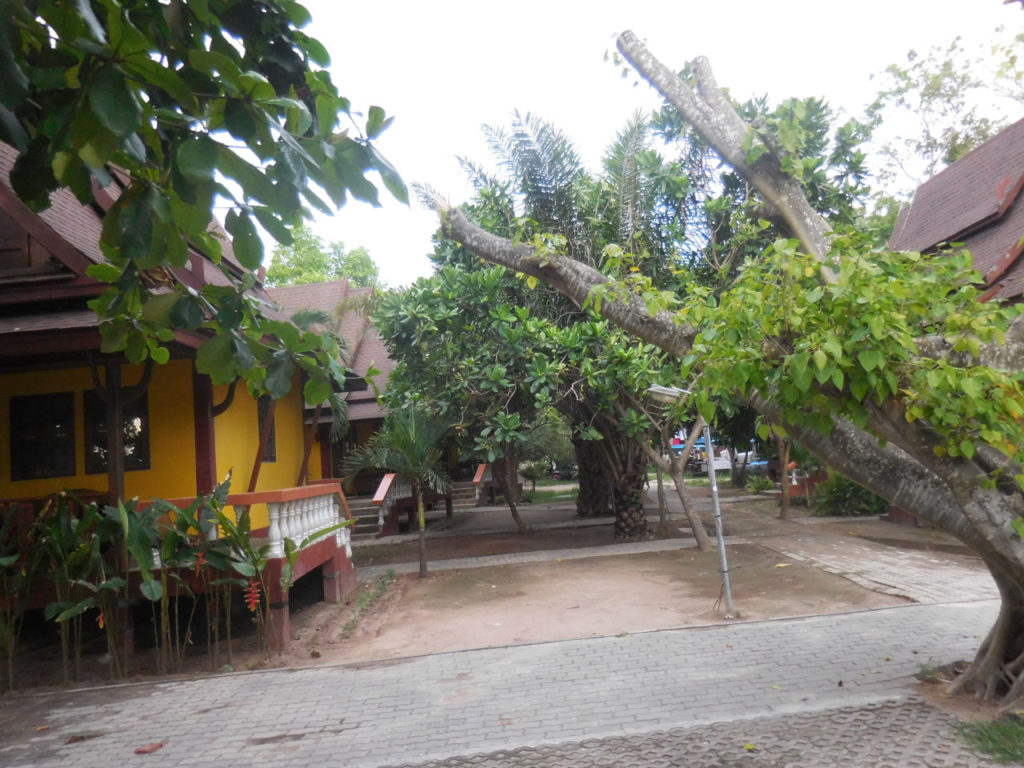 Tailandia - Koh Tao - village