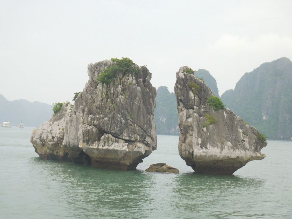 Vietnã - Ha Long Bay - Hon Trong Mai - Ha long symbol