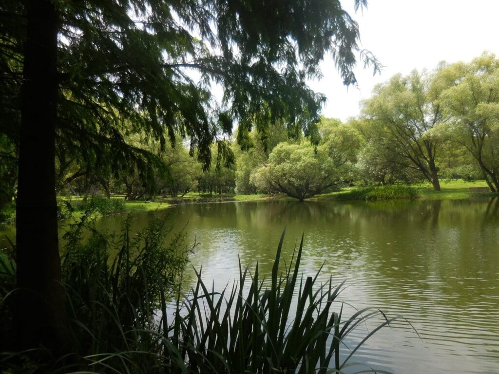 Gongging Forest Park - lagoon