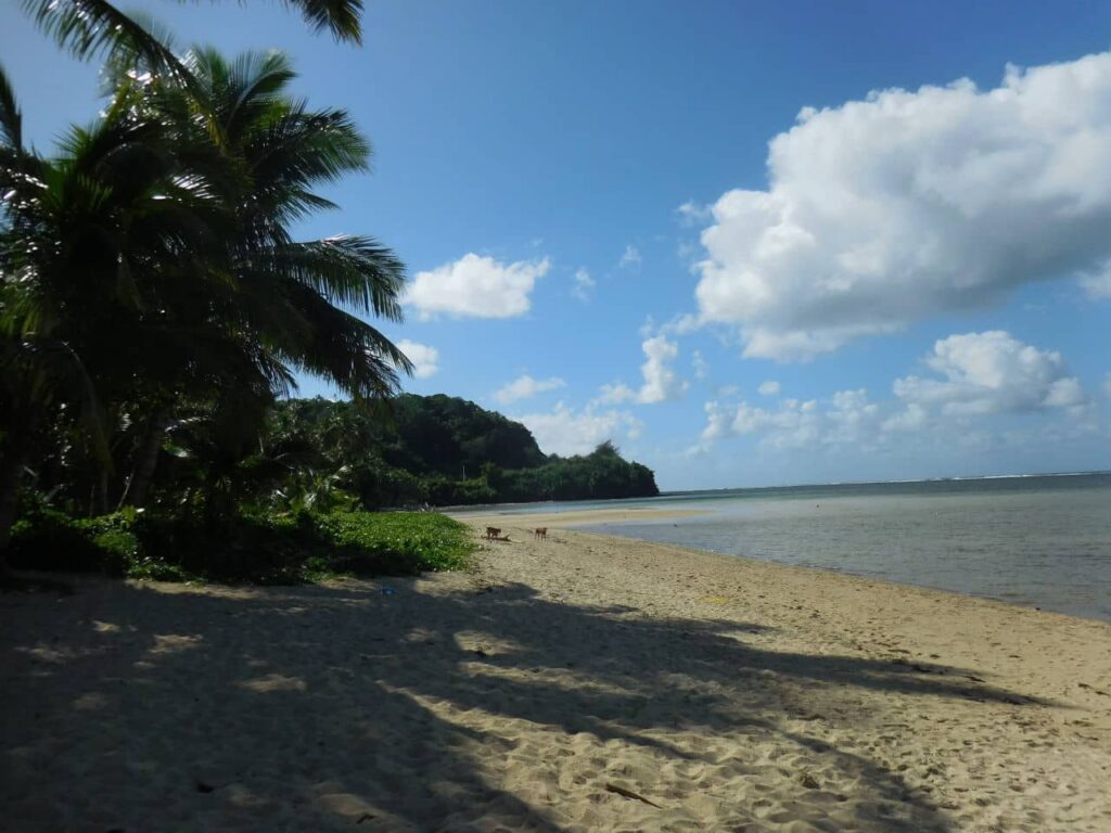 Fiji island -Beach House