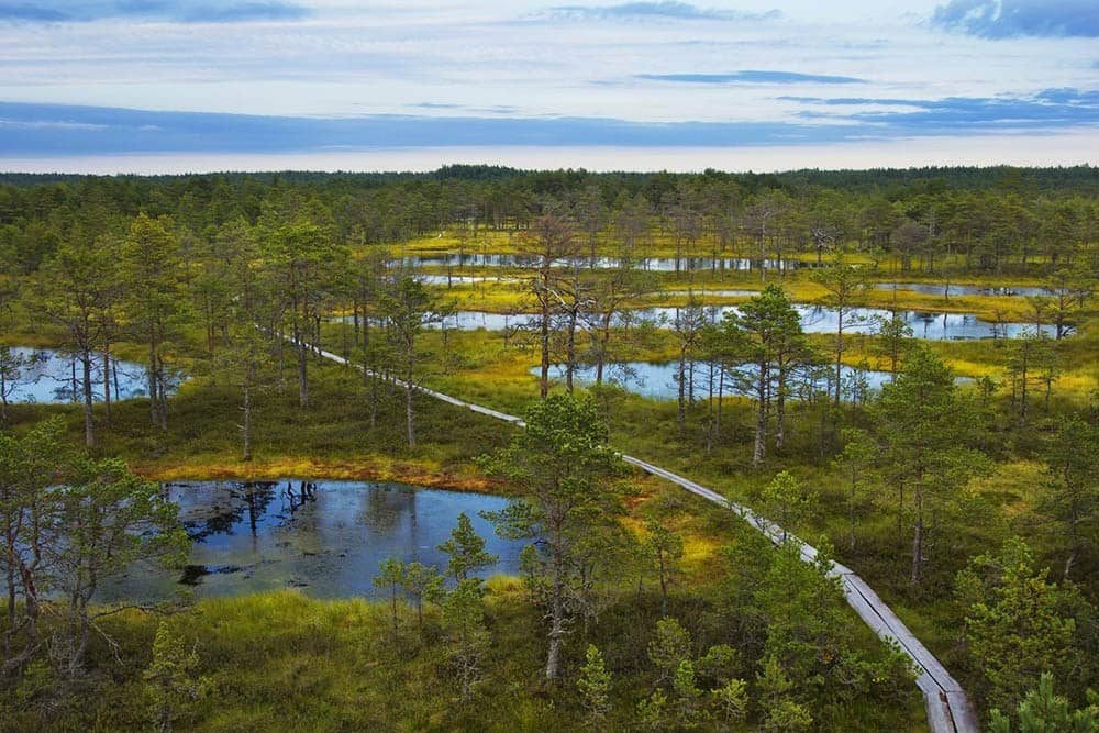 Estonia - Lahemaa National Park