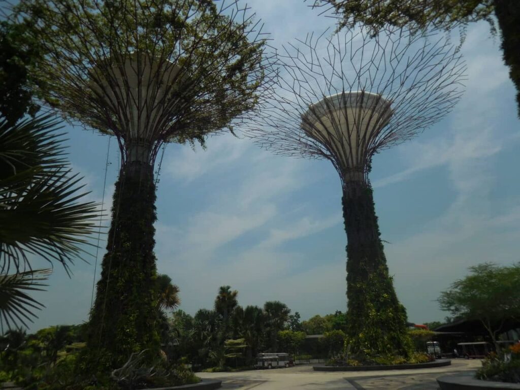 Garden by the bay