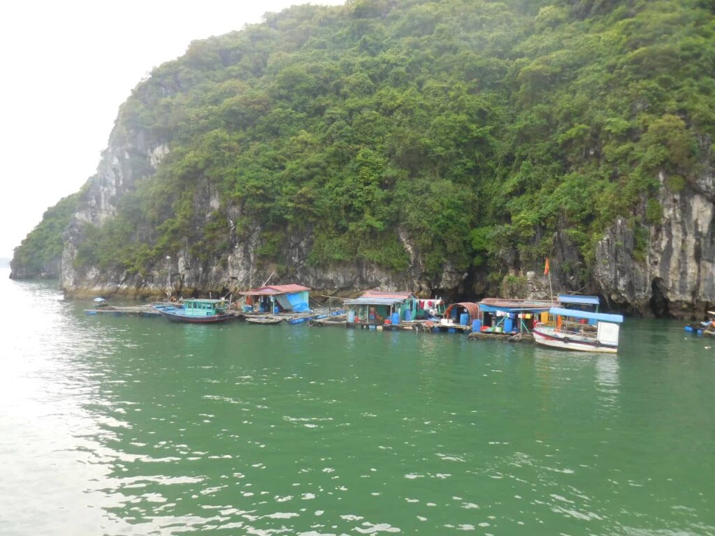 Ha Long Bay - flooting village
