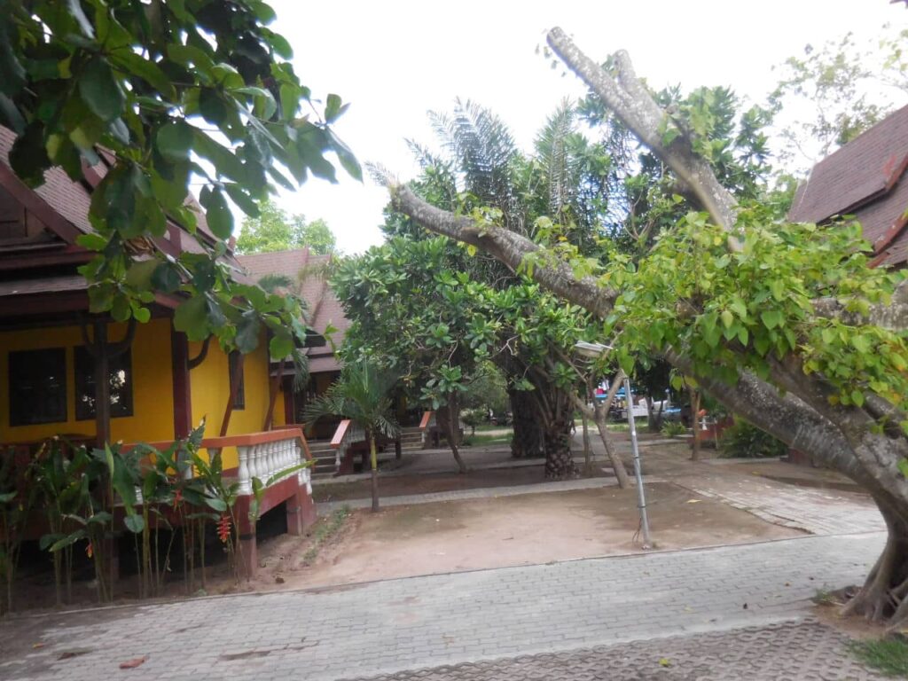 Village center