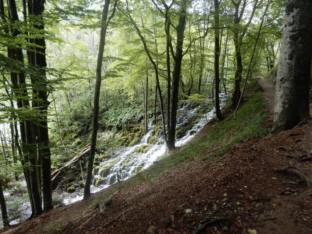 Cachoeira