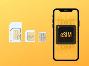 Read more about the article Which international chip is the best? Local? Physical or e-SIM?