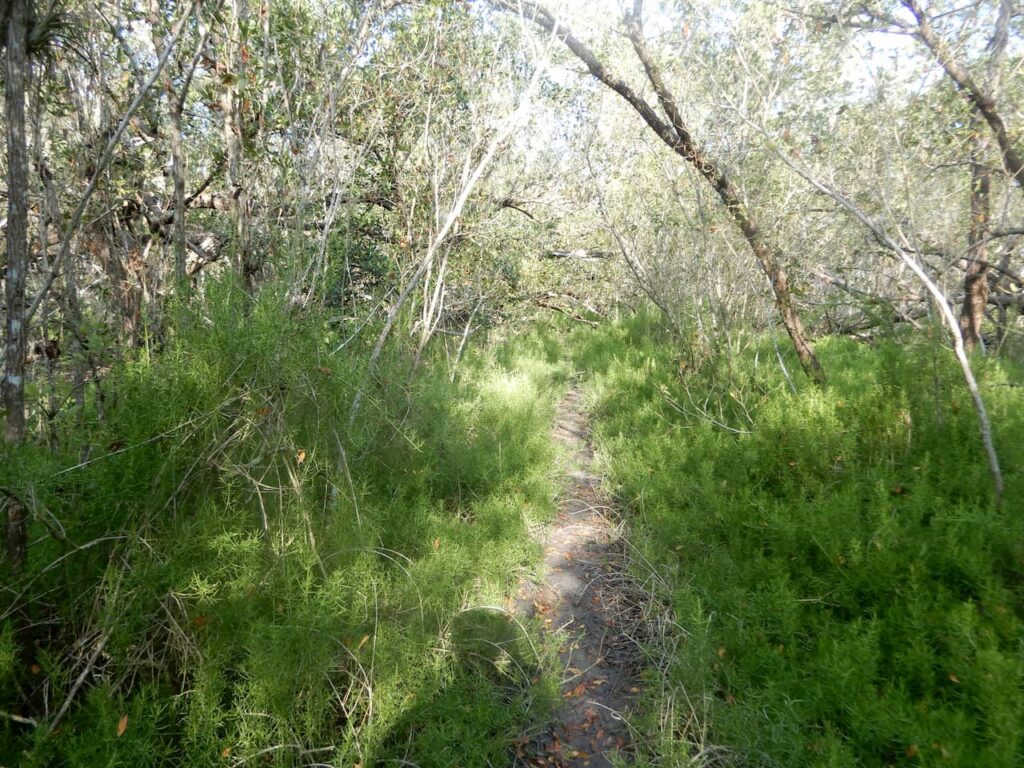 seeCoastal Prairie trail
