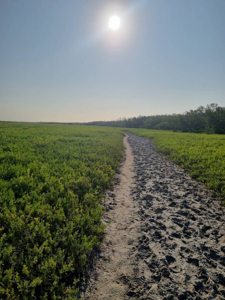 Coastal Prairie trail