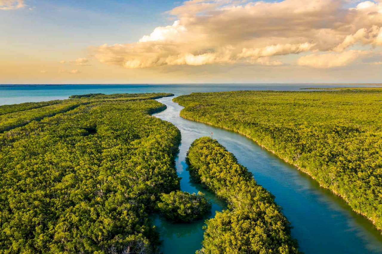 Everglades National Park