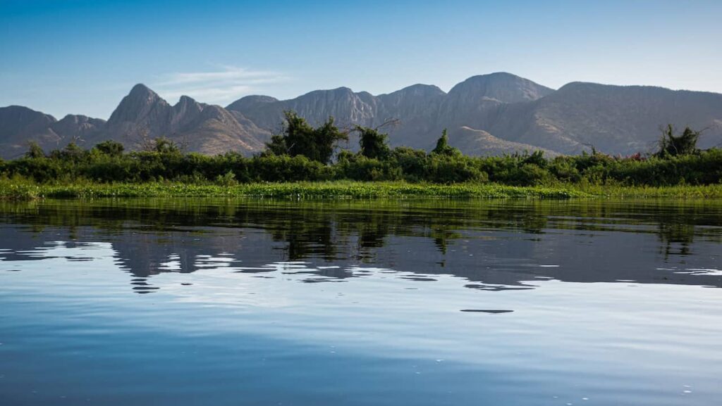 Pantanal